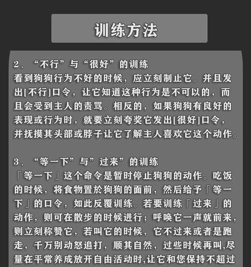 断尾狗的饲养方法（做好饲养管理，让它们健康成长）