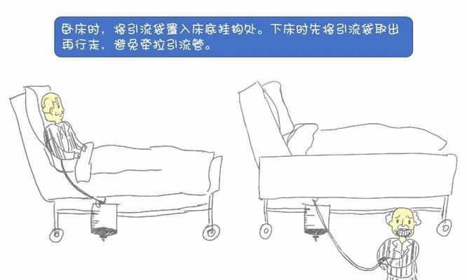 如何做好宠物犬的阿拉斯加日常养护？（从饮食到运动，一步步教你打造健康快乐的阿拉斯加犬）