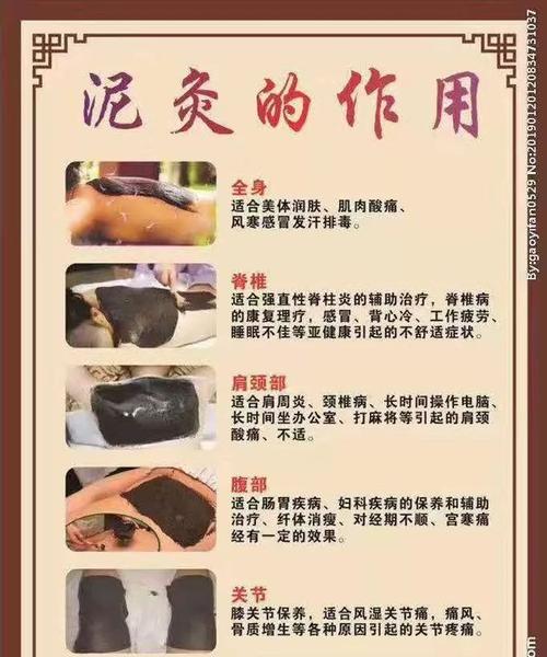 银狐犬的皮屑清除方法（宠物犬健康护理，全面养护银狐犬的皮毛健康）