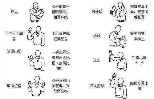 如何训练贵宾犬握手（以宠物为主，让你的贵宾犬学会握手）