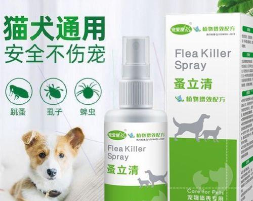 如何处理宠物身上的跳蚤虱子（掌握宠物跳蚤虱子清除方法，让宠物健康快乐）