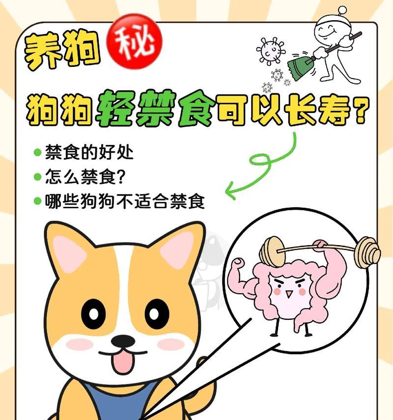 狗狗补钙全攻略（了解宠物补钙需求，科学补充营养，健康呵护爱宠）