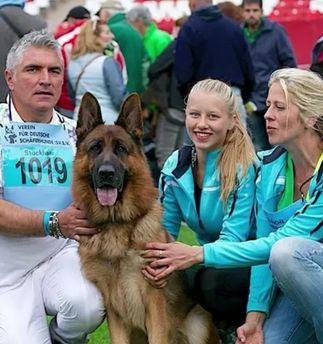 如何治疗德国牧羊犬的常见小病（宠物健康与生活的必修课程）