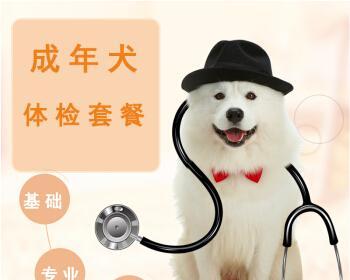 在家为宠物狗做体检，拥有健康的毛孩（宠物狗常见疾病防治指南）