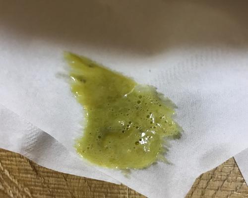 急救（应对宠物肠胃不适的实用指南）