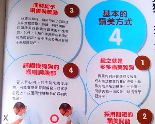 如何让京巴犬适应环境（让宠物成为环境的一份子）