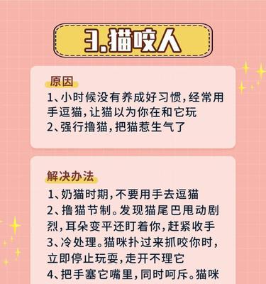 斯芬克斯猫的饲养方法（如何让你的斯芬克斯猫健康快乐成长）