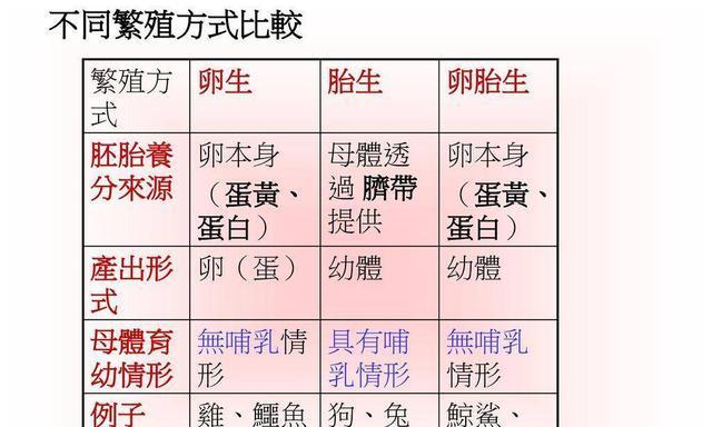 银鲨的饲养方法（打造健康鲨鱼家族，这些关键要点不容错过！）