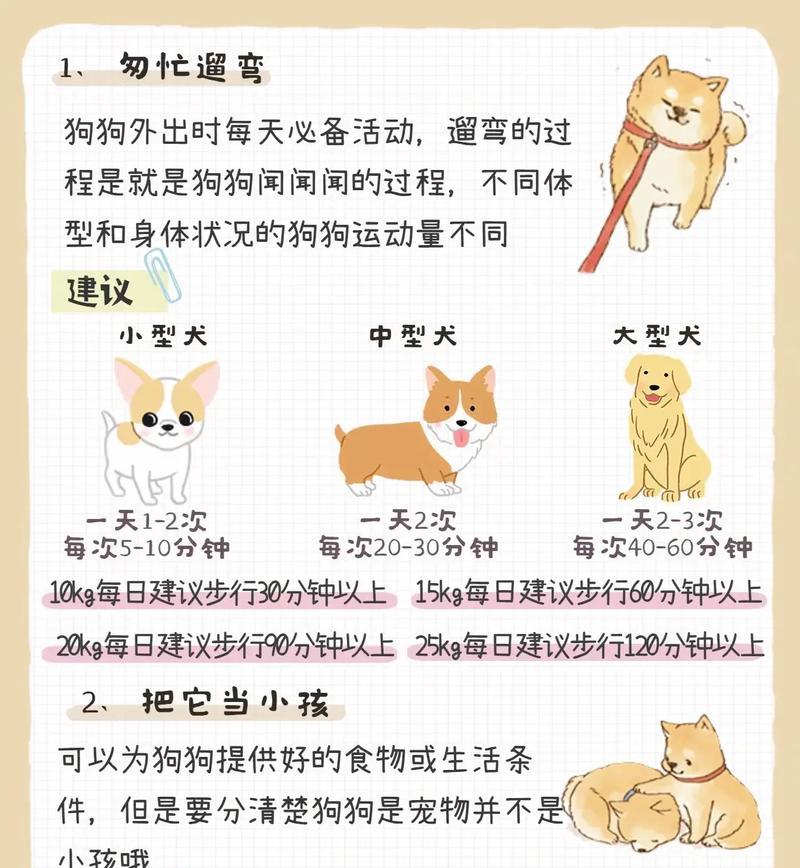 雪纳瑞能否吃月饼？（探究雪纳瑞是否适合食用月饼）