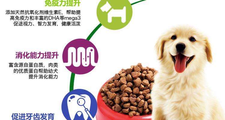 大白熊吃什么狗粮好？（以宠物为主，让大白熊更健康）