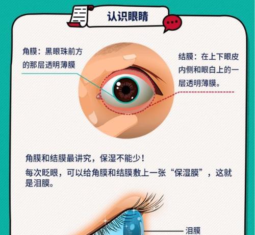 比格犬眼睛红肿的原因及治疗方法（宠物养护，避免比格犬眼部疾病的发生）