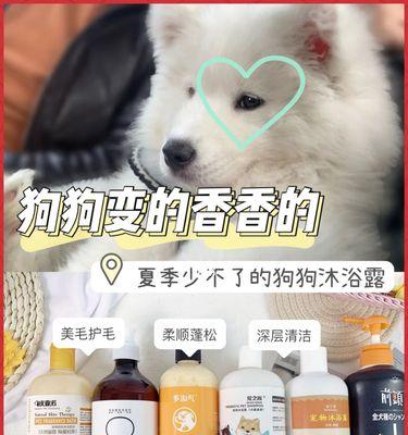 如何选择适合狗狗的沐浴露（以宠物为主，为狗狗打造健康洗澡方式）