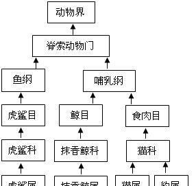 牛头鲷的饲养方法（学会这15个技巧，让你轻松养大牛头鲷！）