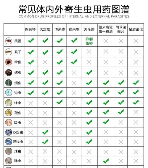 如何养护健康的褐黄沼泽雀（以褐黄沼泽雀的饲养方法为主题，全面介绍它的养护方法）