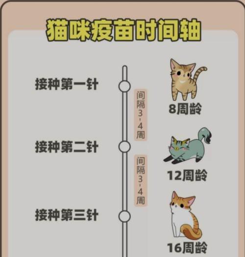 玫瑰鲫的饲养方法（打造健康快乐的玫瑰鲫鱼缸）