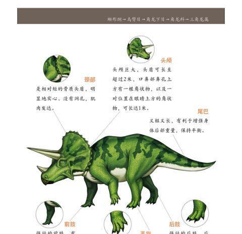 掌握这些方法，让你成为非洲跳鼠的优秀主人！（从选购到照料，了解非洲跳鼠的饲养秘诀）