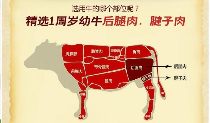 云南鼯鼠的饲养技巧（让你成为合格的宠物爱好者，关注动物健康）