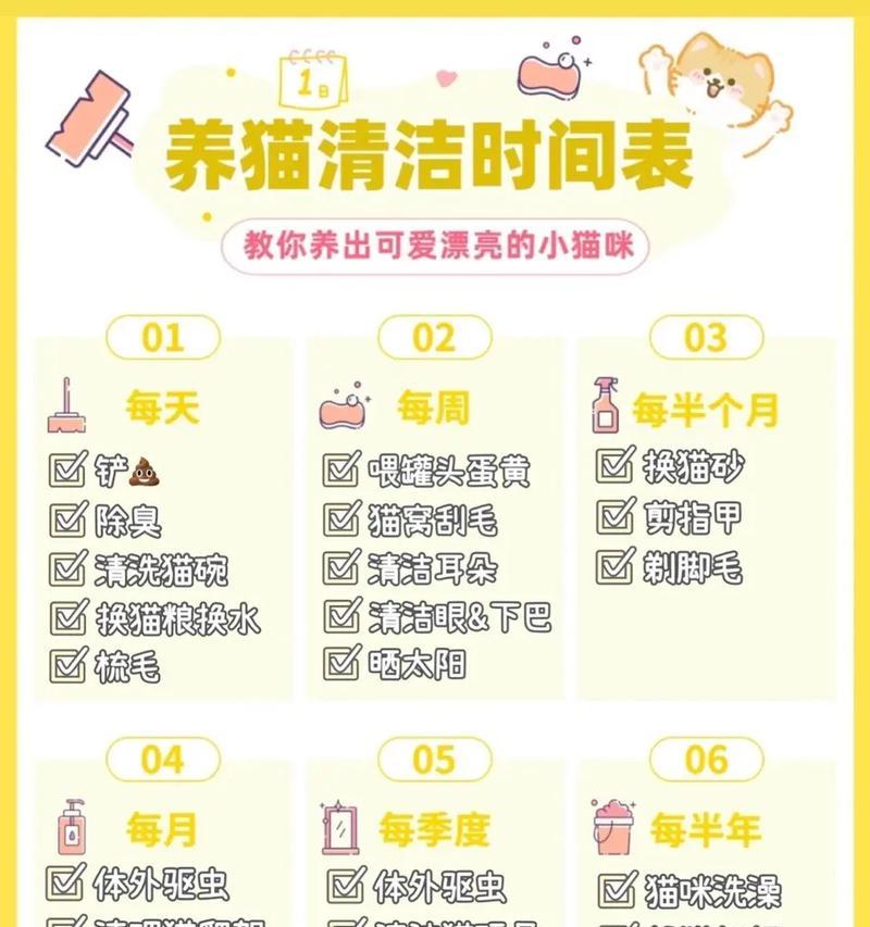 涂金缎毛天竺鼠的饲养方法（如何做到科学合理的饲养，让你的毛球健康快乐）