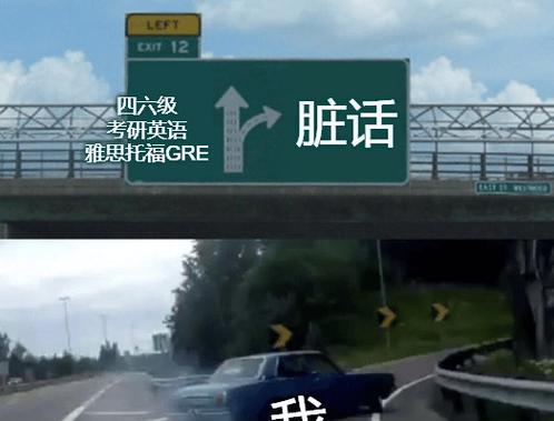 非洲灰鹦鹉的饲养全攻略（掌握饲养技巧，让你的宠物非洲灰鹦鹉健康快乐）