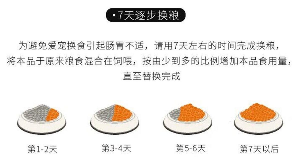 以伯格海角陆龟的饲养指南（让你的宠物伴侣健康成长的实用技巧）