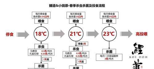 小精灵鱼的饲养方法（打造完美水族箱环境，让小精灵鱼健康成长）