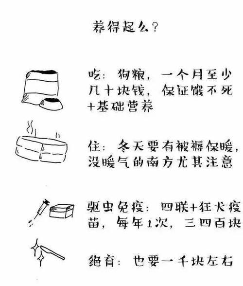 以卡鲁海角陆龟为宠物的饲养方法（了解它们的生活习性，创造适合它们生活的环境）