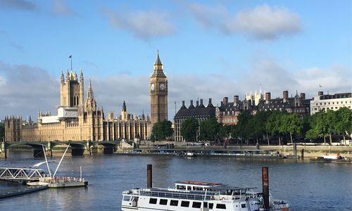 英国银兔的饲养方法（如何让你的银兔健康成长）