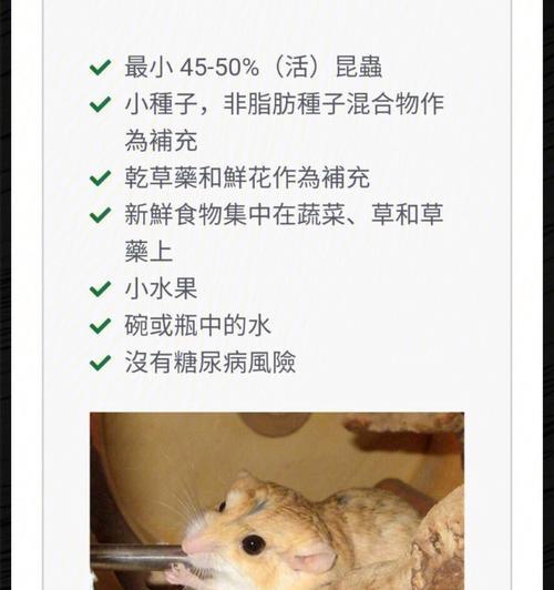 云南鼯鼠的饲养方法（以健康为前提，细心呵护小生命）