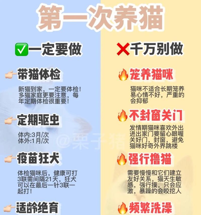 德州地鼠龟的饲养方法（一步步教你如何养好它们）