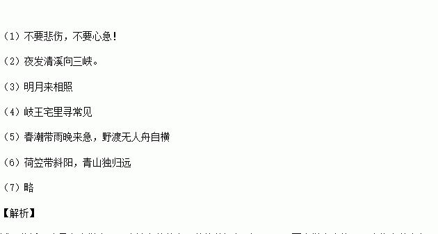 拉罗果鹟的饲养方法详解（如何让拉罗果鹟健康快乐成长）