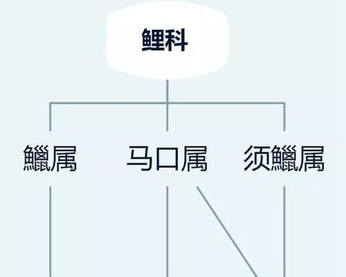 条纹鹎的饲养方法与技巧（打造幸福的条纹鹎家庭，关注健康与快乐）