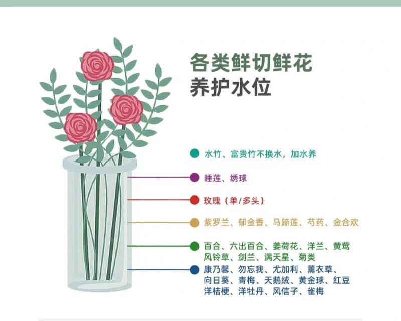 原仓鼠饲养全指南——关爱小型宠物