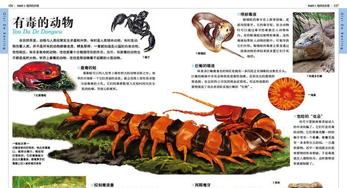 伊斯帕尼奥拉岛沟齿鼠的饲养方法（如何让伊斯帕尼奥拉岛沟齿鼠健康成长？）