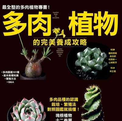如何饲养拉罗果鹟（初学者必知的15个饲养技巧）