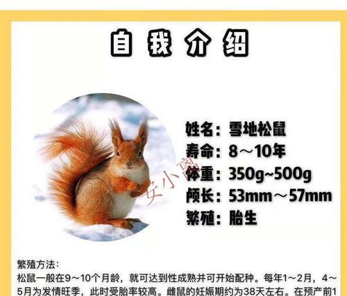 北美负鼠的饲养方法——让你的小萌宠健康成长（从选择到养护，全面掌握北美负鼠养殖技巧）