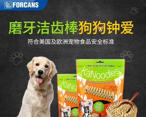 3个月的狗狗适合吃哪些骨头？（探究狗狗最爱的骨头种类，为狗狗的健康保驾护航）