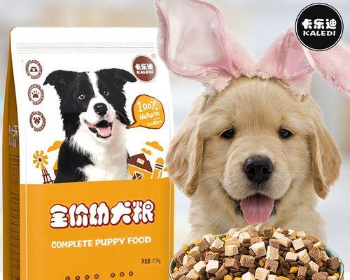 如何正确给狗狗补钙？（掌握这几个要点，让宠物健康成长）