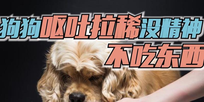 小狗打疫苗后不吃饭，怎么办？（小狗打疫苗后出现食欲不振的原因及解决方法）