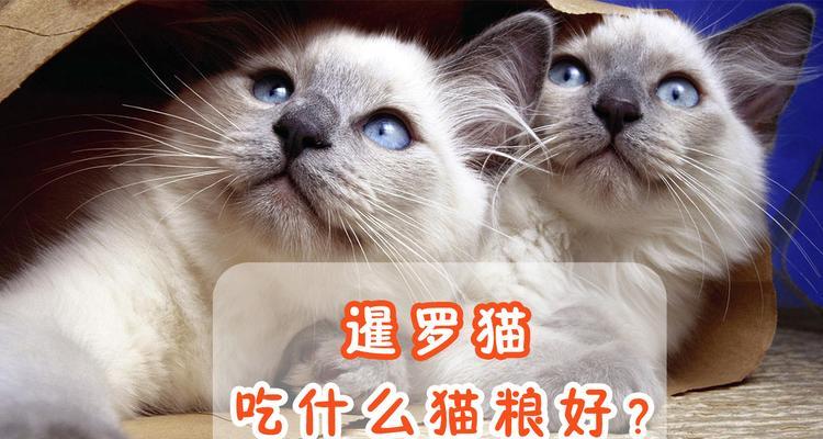 如何让暹罗猫养成吃猫粮的习惯（解决暹罗猫不吃猫粮的问题，让宠物健康饮食）