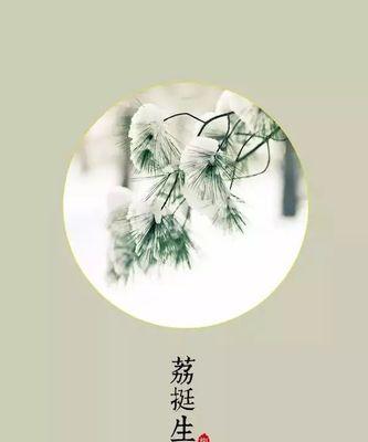 复齿鼯鼠的饲养方法（如何正确饲养复齿鼯鼠）