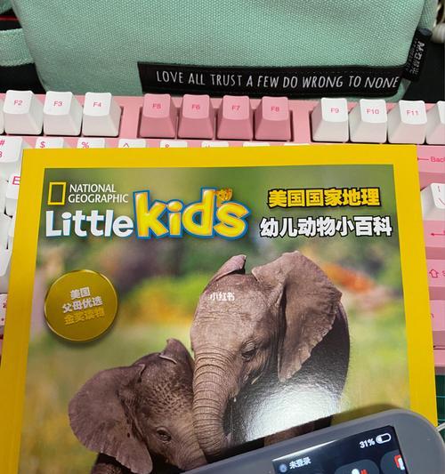 如何科学合理地饲养狨鼠（宠物狨鼠的喂养、环境和健康问题）