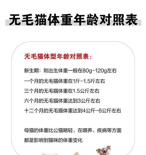 曼岛无尾猫的饲养指南（了解曼岛无尾猫的特点与照顾技巧，让它们健康快乐生活）