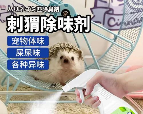 非洲迷你刺猬的饲养方法（宠物迷你刺猬的养护指南）