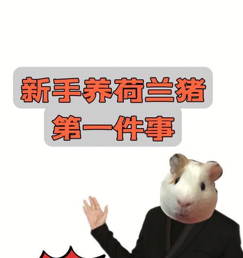 喜马拉雅天竺鼠的饲养技巧（了解天竺鼠的基本生活需求，从而建立健康幸福的饲养环境）