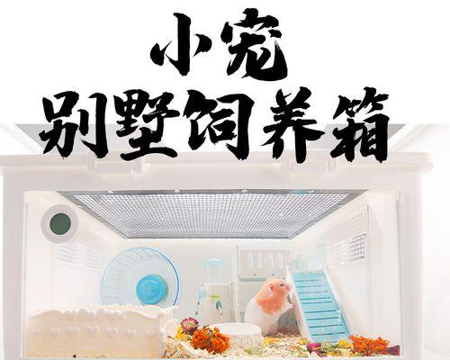 非洲迷你刺猬的养护指南（了解如何给你的迷你刺猬提供最佳照顾）