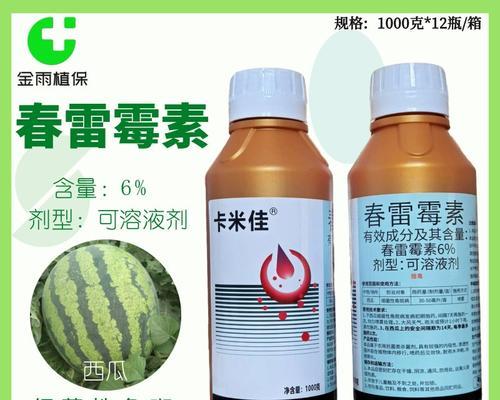斑角吊的饲养方法（详细介绍斑角吊的饲养方式，让你成为专业水族养殖人士）
