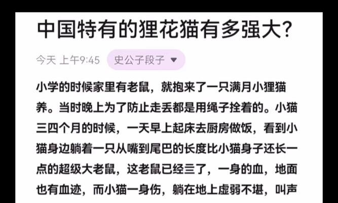 养护狸花猫，知识大（了解中国狸花猫的饲养方法，让你的宠物健康成长）