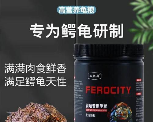 如何照顾健康的大鳄龟（如何照顾健康的大鳄龟）