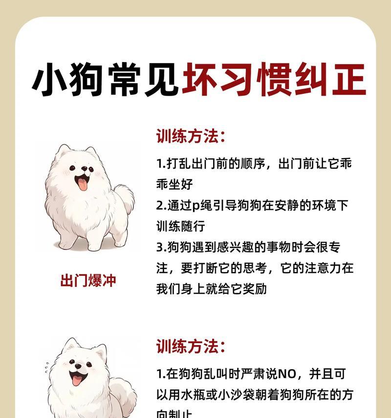 哈士奇训练技巧大全（以宠物为主，让你的哈士奇成为聪明乖巧的好宠物）