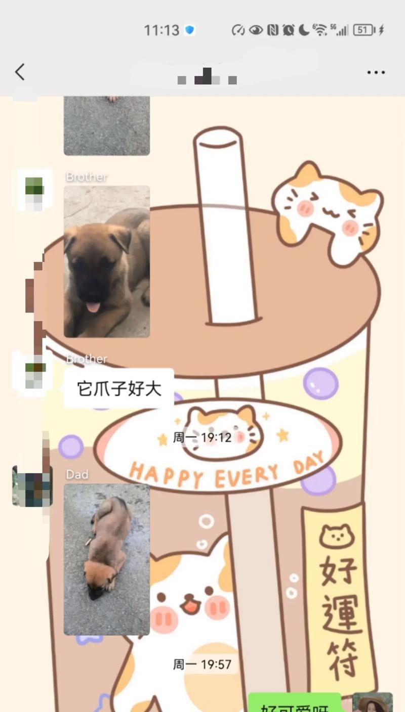 如何分辨星期狗？（三招教你轻松辨别）